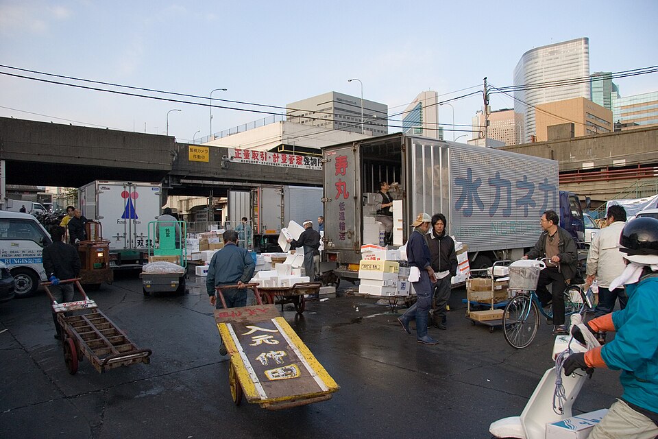 Tsukiji fish market in Tokyo