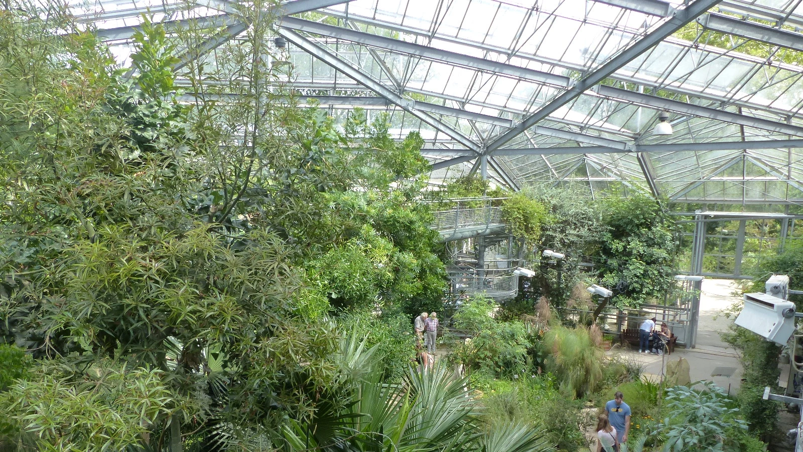 Hortus Botanicus in Amsterdam